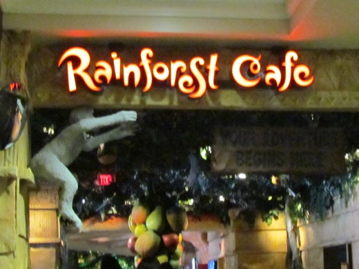 For the young and old at heart was this fascinating eatery called Rainforest CafÃÂ©, also located in the lobby area of the Sheraton Hotel. It is decorated with large trees, monkeys, birds and various animals. This fun cafÃÂ© brought joy to many chi