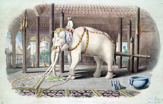 White elephant in palace in 1885