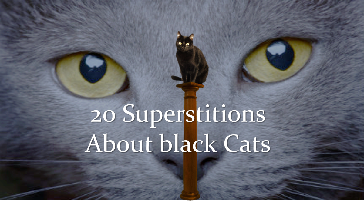 20 Superstitions About Black Cats | HubPages