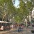 Guess?  The Ramblas in Barcelona, world's most attractive promenade?