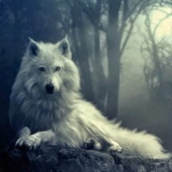 The Ghosts & Legends Of White Wolf Hollow