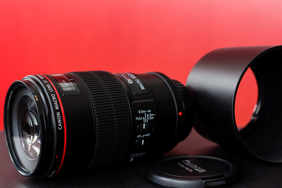 Canon'un 100mm f / 2.8L IS USM makrosu - bu lens benim iin kesin bir eydi - makroyu seviyorum! 