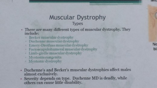 Many Types Of Muscular Dystrophy