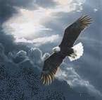 On spiritual wings we rise above the storm.  God gives the lift to our wings.