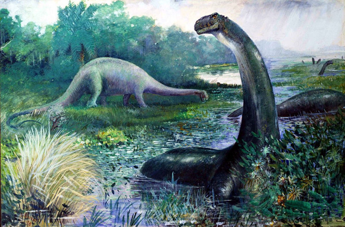 Like Mokele Mbembe, sauropods had long necks and tails with big bodies. Is this what still lives in Africa?