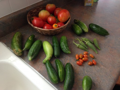 When all else fails, have good neighbors with better gardens!
