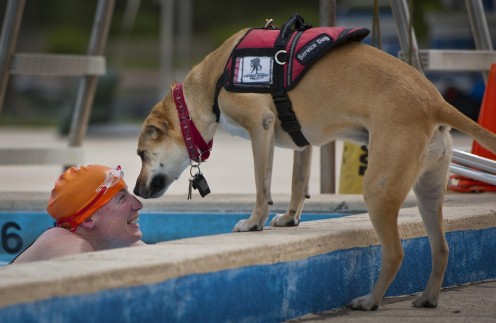 Para-swimmer with service dog.