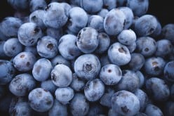 Blueberries - What Your Mother Didn't Tell You