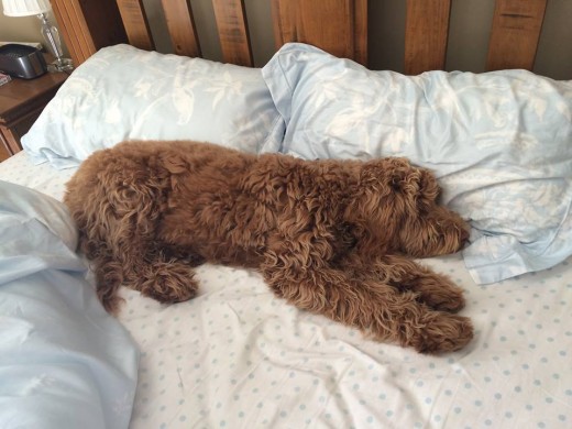Just pull up the duvet please!