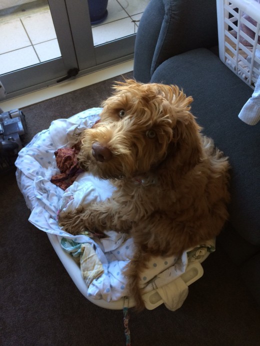 I need a wash too!