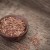 flaxseed flaxseed