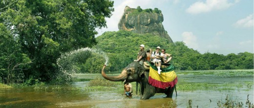 elephant ride in sri lanka