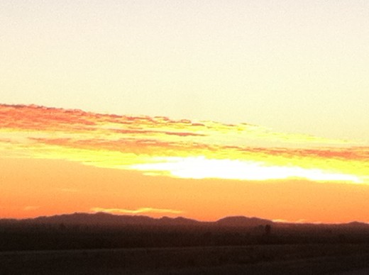 What beauty in the world