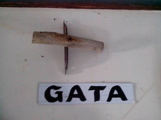 Gata or Rice Hand Harvesting Tool (Photo Source: Ireno Alcala)
