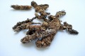 Does Valerian Root Help With Sleep?