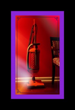 The SEBO Felix is the Best Vacuum I've Ever Owned!!!