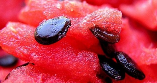 Watermelon seeds. 