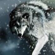 Huntingsky profile image