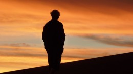https://usercontent2.hubstatic.com/13024803_f260.jpg