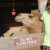 They even have Camel Rides. They even have Camel Rides.