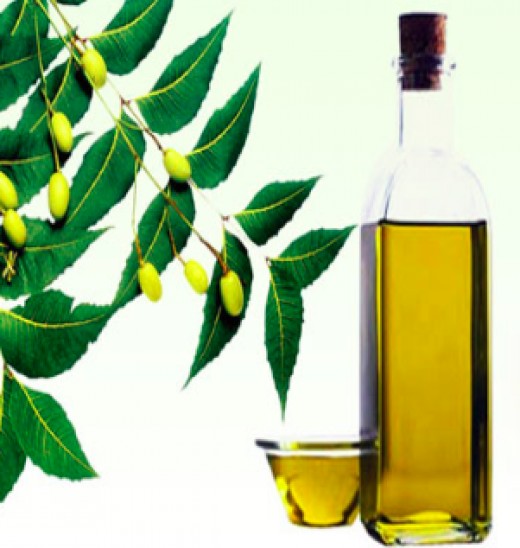 Neem Oil for Dogs - stops itching