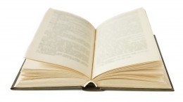 https://usercontent2.hubstatic.com/13027459_f260.jpg