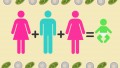 Babies with Three Parents: Preventing the Inheritance of Genetic Diseases