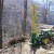 Cable logging in France Cable logging in France