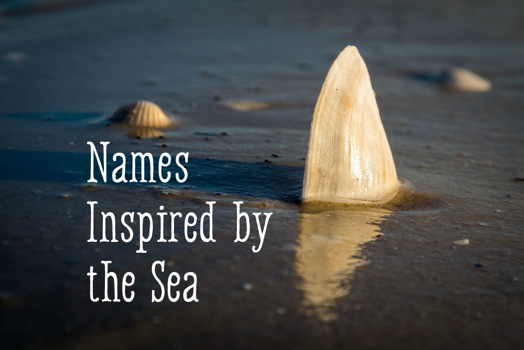 Names that go with ocean, 108 Inspiring Names That Mean Ocean