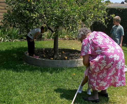 I titled this photo, Lemons and love!  This is my Great Aunt Betty, who passed away a couple of months ago.  I am heartbroken at that loss as well.  Here she is hugging one of her grandchildren, and others picking lemons off of her famous lemon tree.