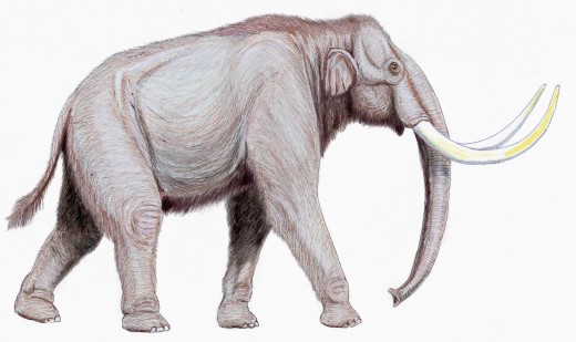 An artist's reconstruction of a steppe mammoth.  Some members of this species have been estimated to weigh nearly 16 tons.