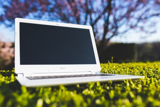Blogging about green living can bring in unlimited income while touching lives around the world.