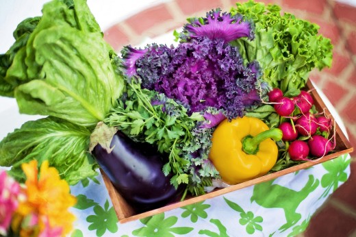 Harvest your own vegetables to serve in your farm-fresh food truck.