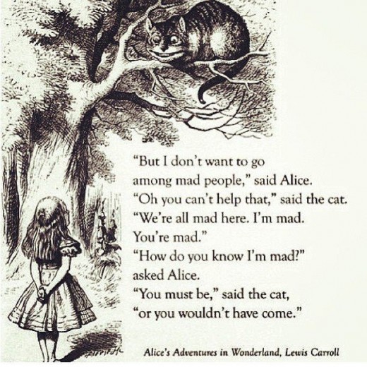an excerpt
