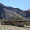 Homegrown: Terror Rising in the Desert, 2nd of 4 Sample Chapters of a Novel by cam