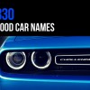 330 Good Car Names