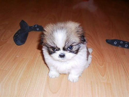 Honestly, this one doesn't seem that angry