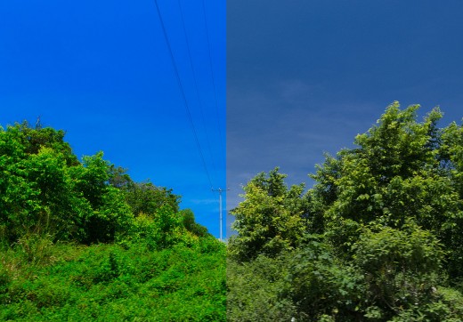 http://creativecommons.org/publicdomain/zero/1.0/deed.en