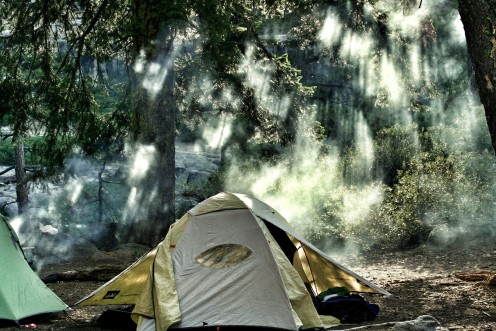 Tent in the woods.