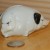 Black Eared Pig From Germany Black Eared Pig From Germany