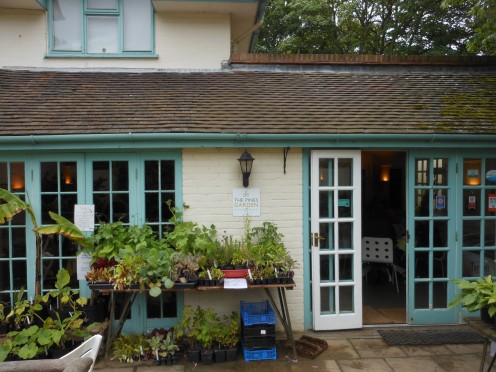 Lovely little tea room and museum