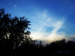 Music to delight our lives...