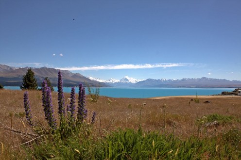 Lake Pukaki - In the South Island's Dark Sky Reserve