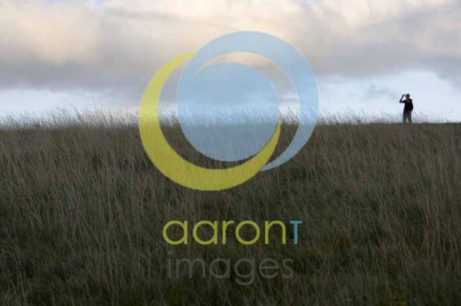 Accepted for shutterstock