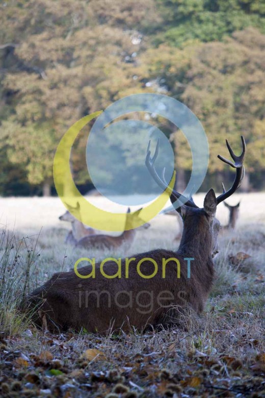 Accepted for shutterstock Was not accepted by fotlia
