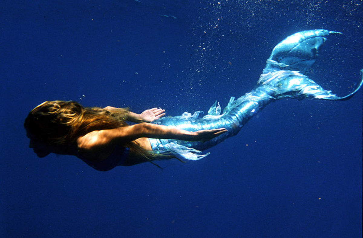 Be The Bear Mermaid Kissing