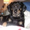 Maggieandmom profile image