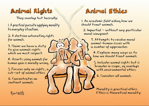 Animal rights and animal ethics