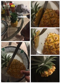 The Captain's Pineapples (slice&potted)