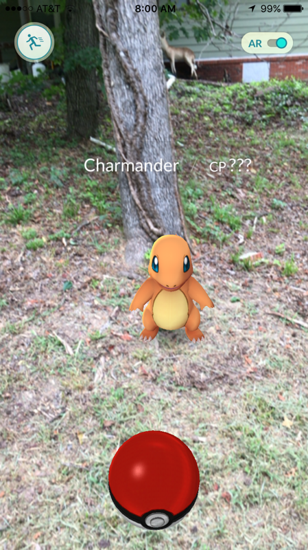 A Charmander apparently lives in my backyard.